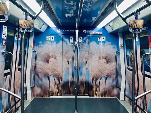 蘇州文青必去打卡 國(guó)內(nèi)首條全場(chǎng)景文化旅游特色線(xiàn)路蘇州軌交5號(hào)線(xiàn)開(kāi)通